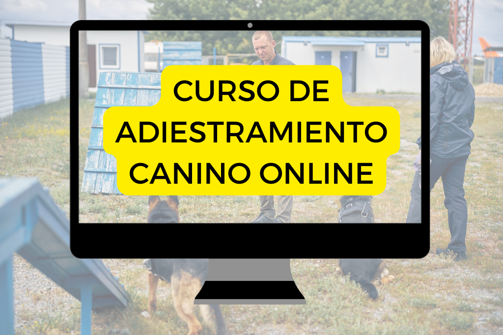 Curso adiestramiento canino online