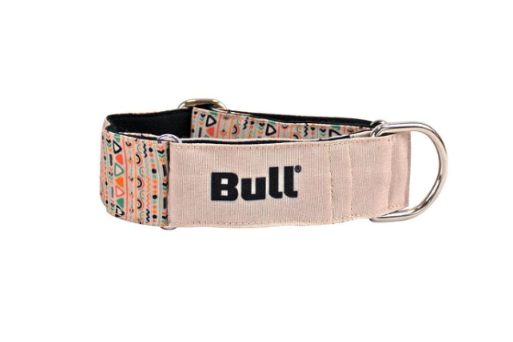 Collar martingale antiescape: el accesorio esencial para el entrenamiento y seguridad de tu galgo