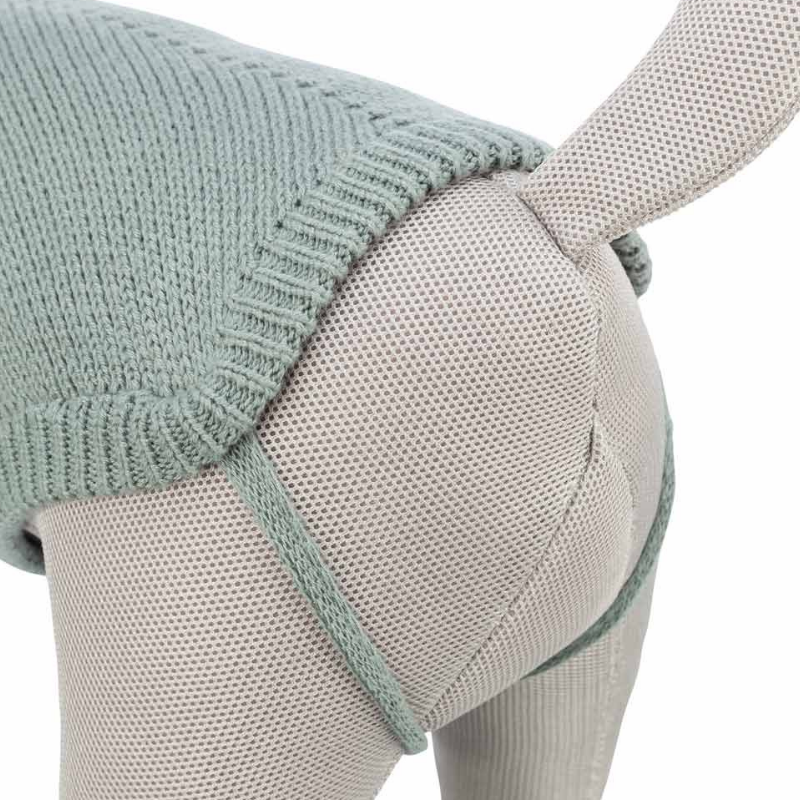 JERSEY PERRO AQUAMARINA TRIXIE