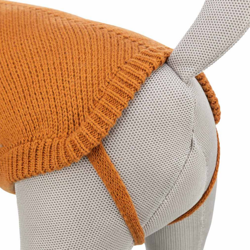 JERSEY PERRO MOSTAZA BERLIN TRIXIE