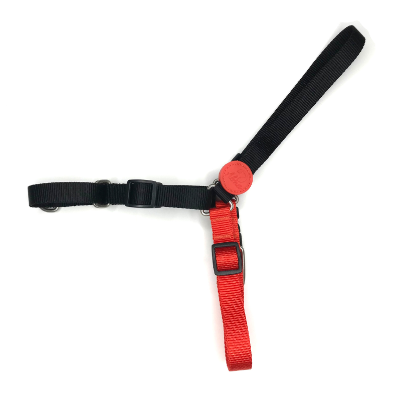 ARNES ANTITIRONES PERRO COMFORT PASEO ALMAPET ROJO