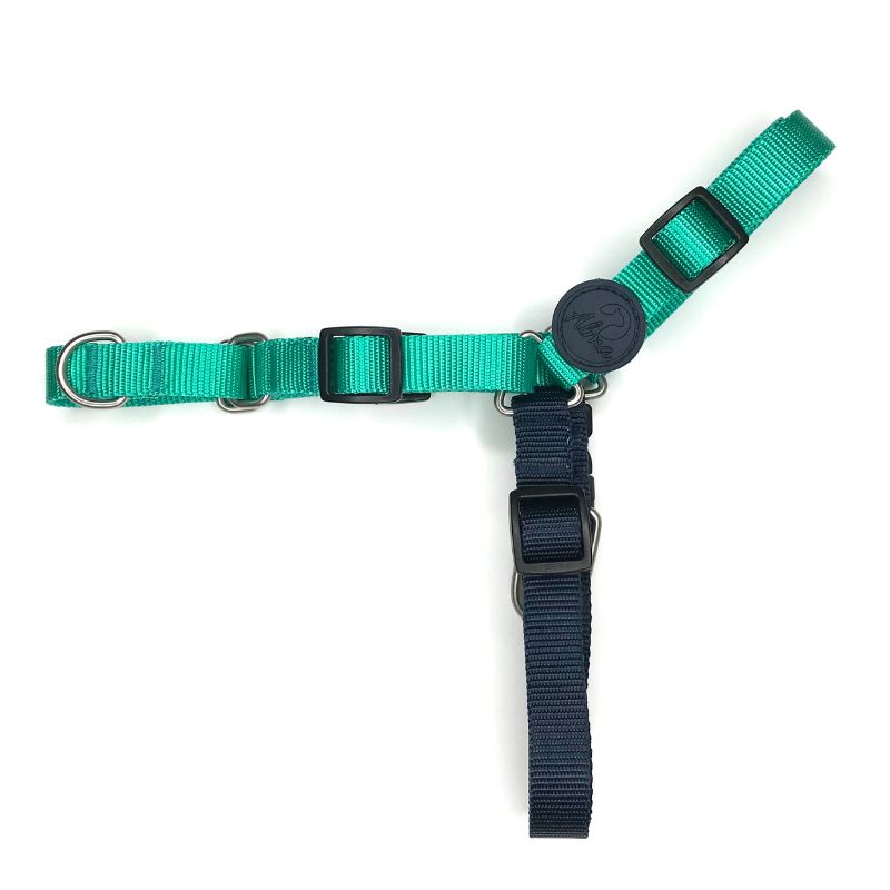 ARNES ANTITIRONES PERRO COMFORT PASEO ALMAPET VERDE