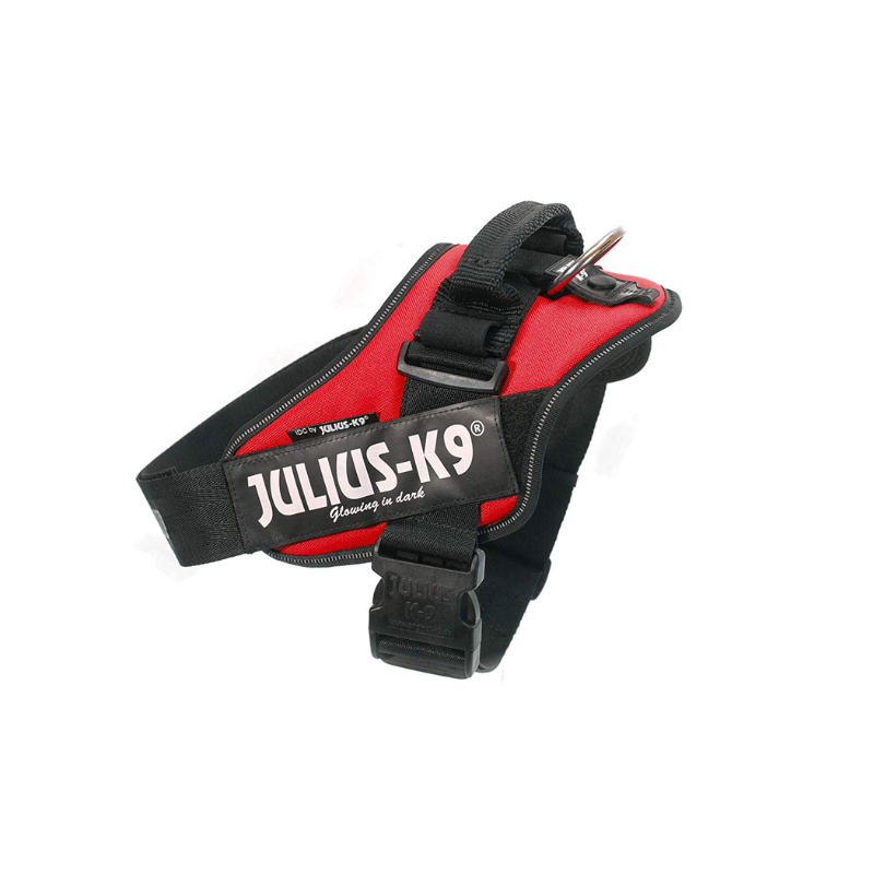 ARNES JULIUS-K9 IDC ROJO