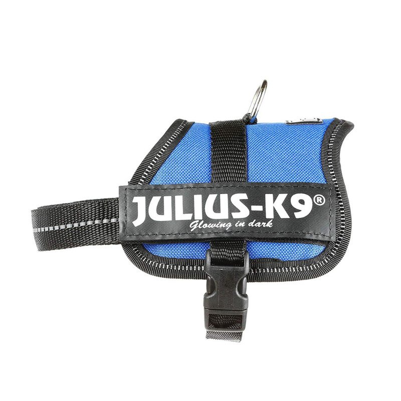 ARNES JULIUS-K9 POWER AZUL