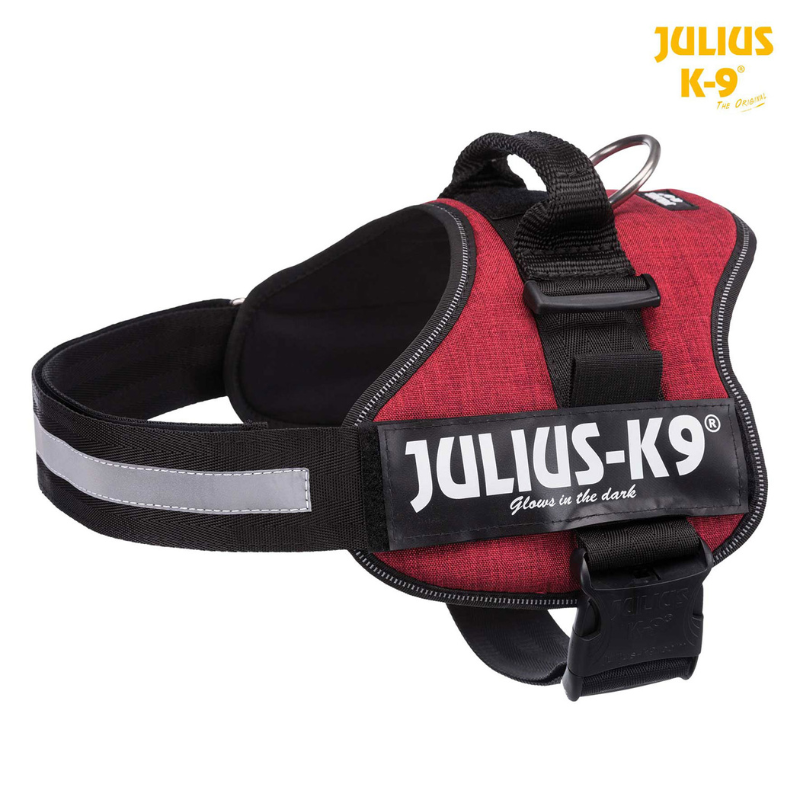 ARNES JULIUS-K9 POWER BERMELLON
