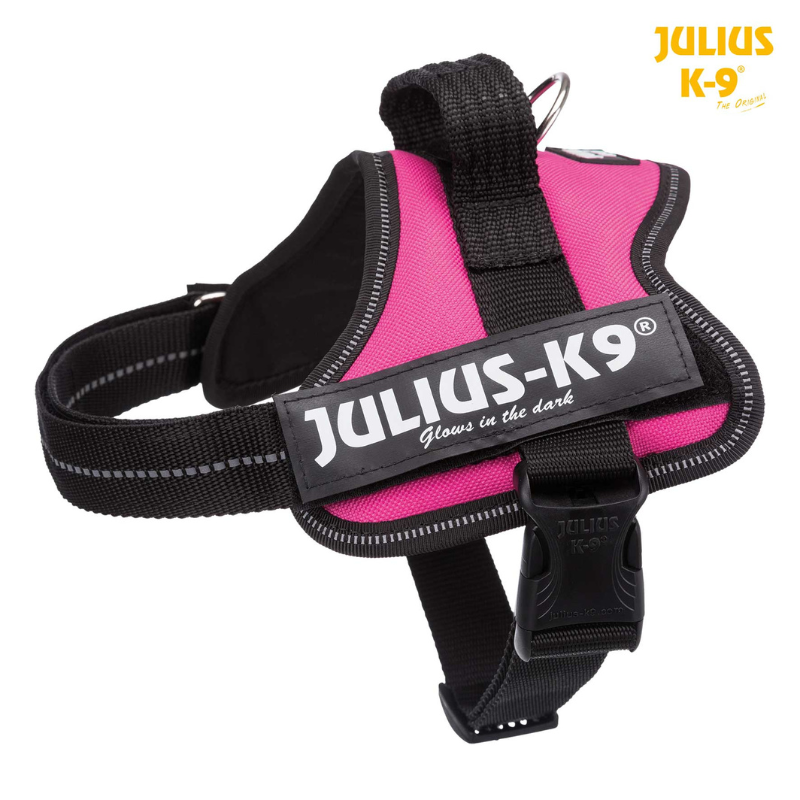 ARNES JULIUS-K9 POWER FUCSIA
