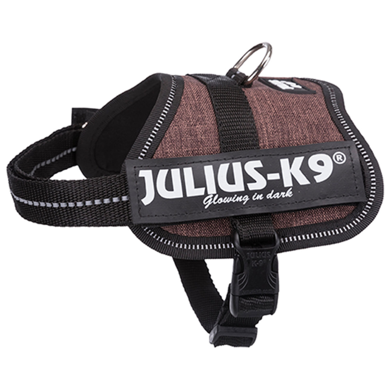 ARNES JULIUS-K9 POWER MOCA