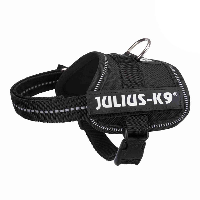 ARNES JULIUS-K9 POWER NEGRO