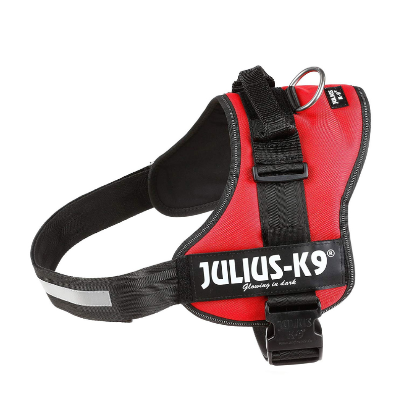 ARNES JULIUS-K9 POWER ROJO