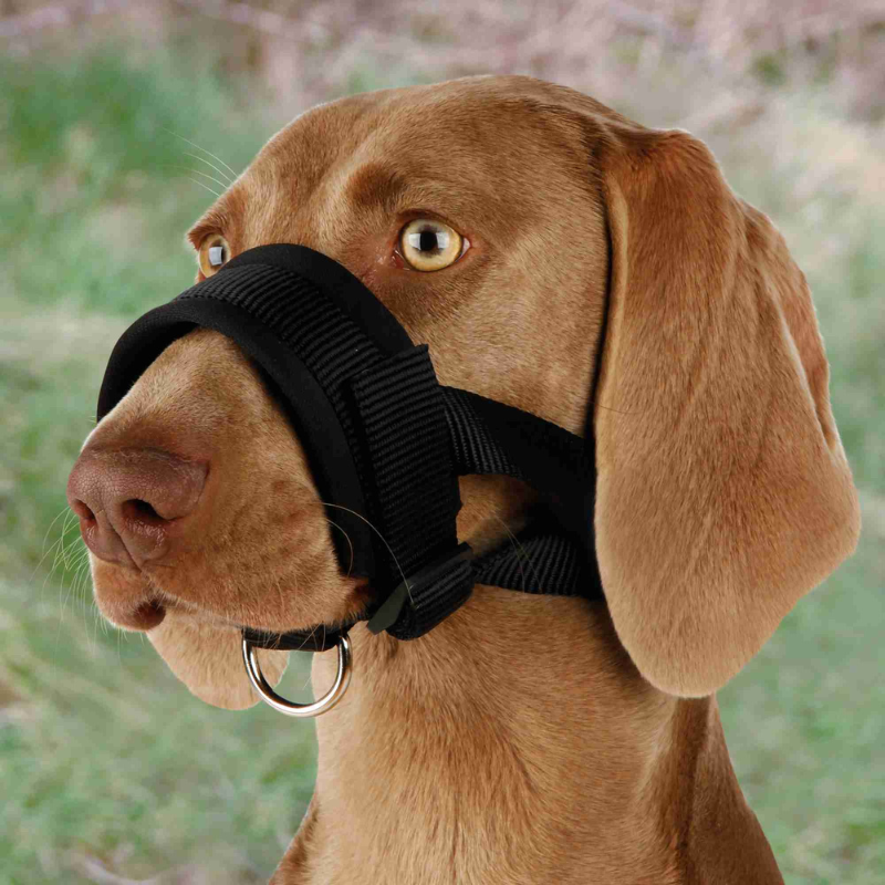 BOZAL NYLON AJUSTABLE PARA PERROS TRIXIE