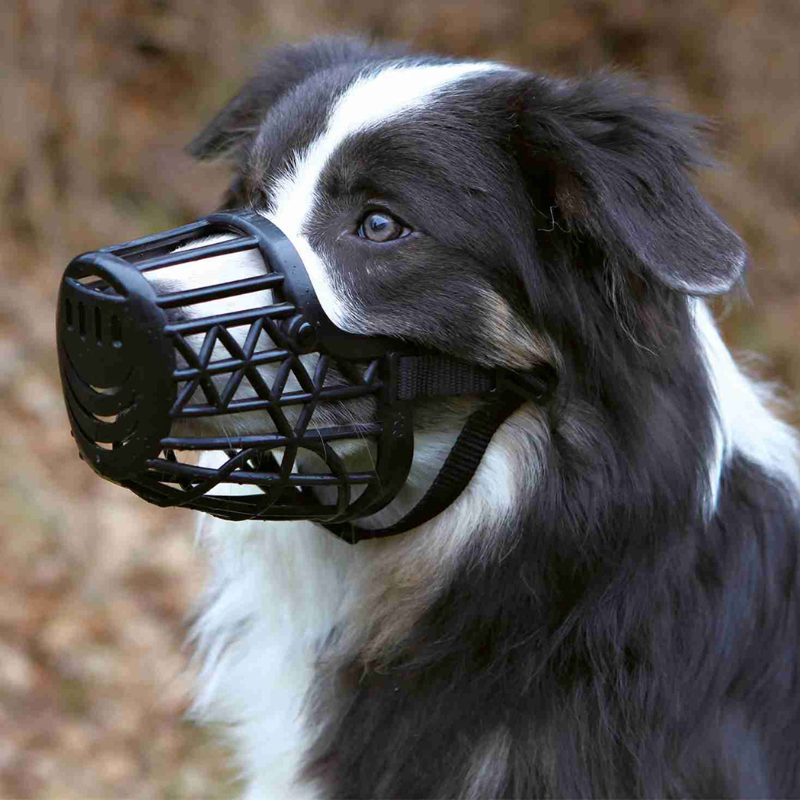BOZAL PARA PERROS TRIXIE