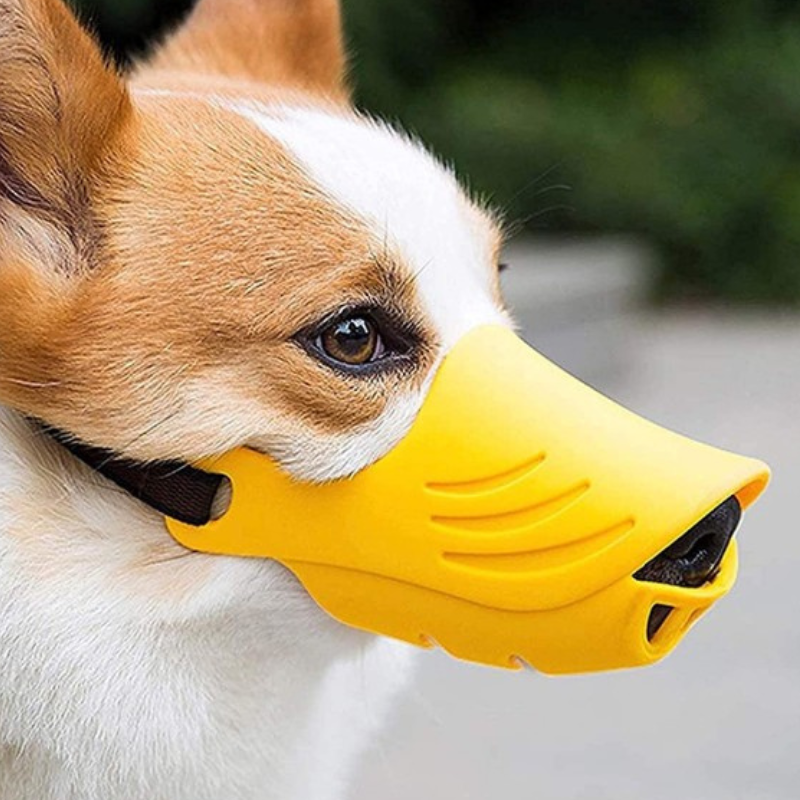 BOZAL PERROS SILICONA TWIMBEE DAPAC PREMIUM AMARILLO