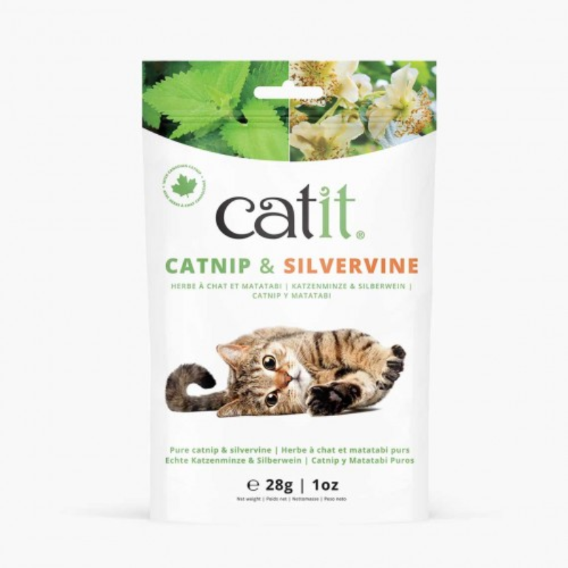 CATNIP Y MATATABI SECOS CATIT