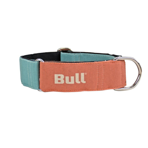 COLLAR MARTINGALE GALGOS ANTIESCAPE NARANJA-TURQUESA
