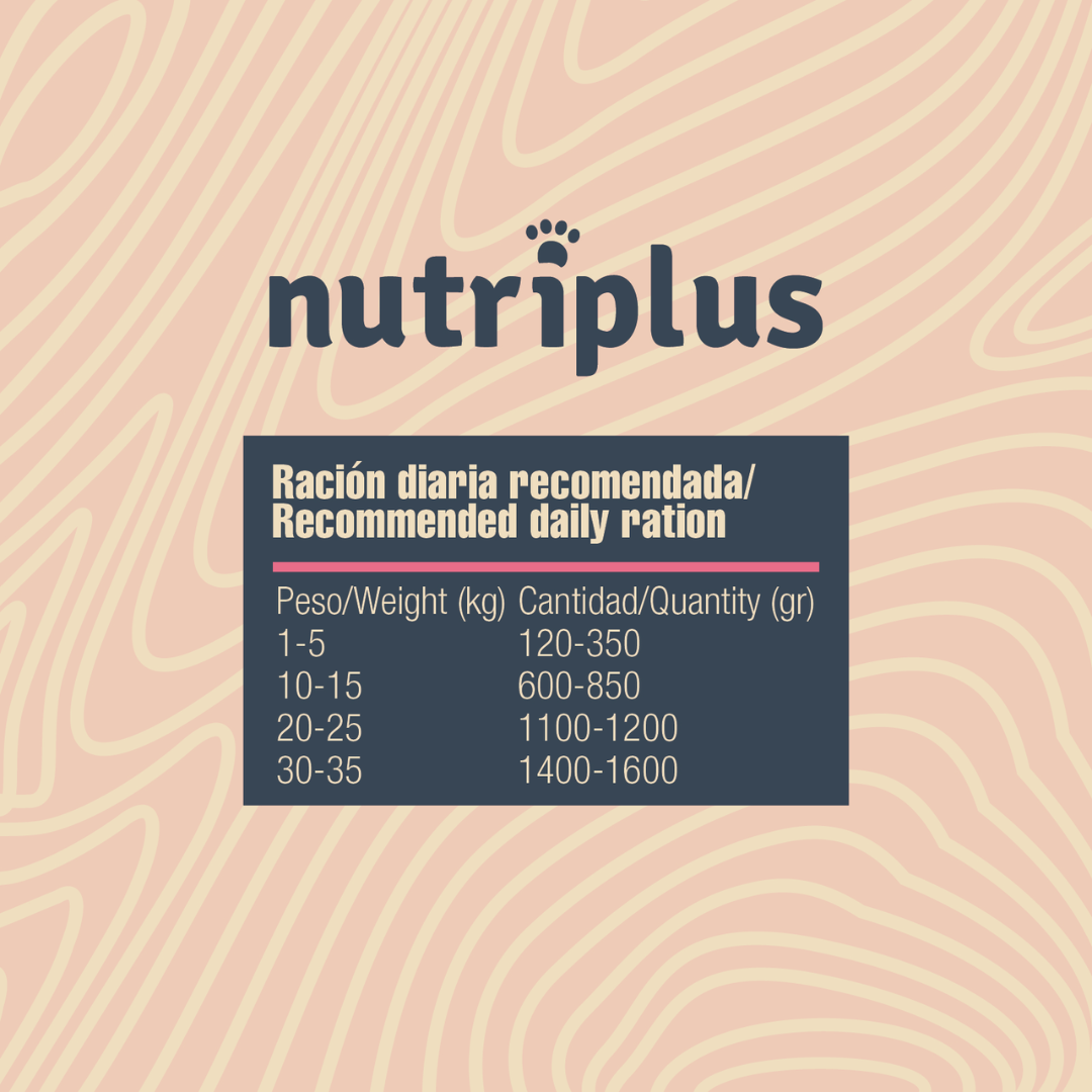 NUTRIPLUS PERROS COMIDA HUMEDA CORDERO 6x400 GR