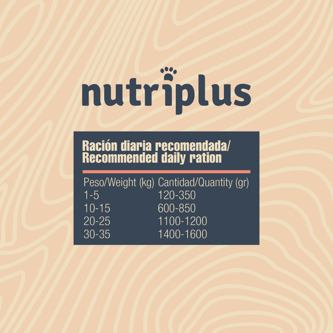 NUTRIPLUS PERROS COMIDA HUMEDA SALMÓN 6x400 GR