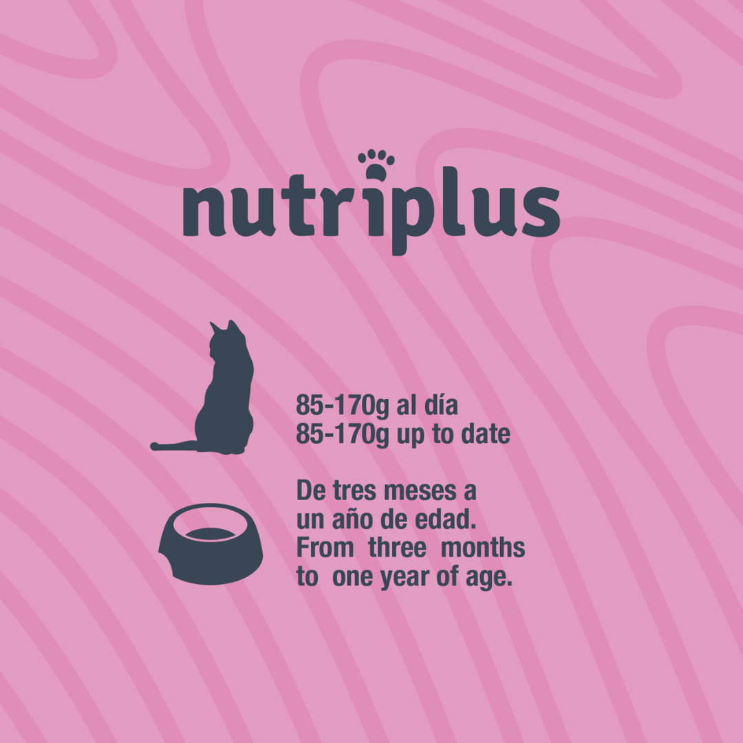 NUTRIPLUS GATOS COMIDA HUMEDA KITTEN POLLO 12x85 GR