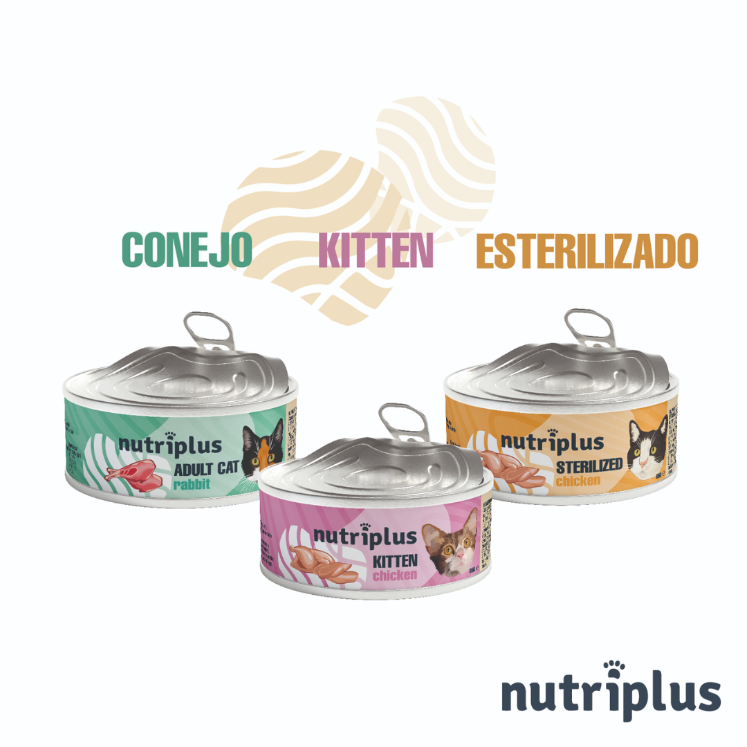 NUTRIPLUS GATOS COMIDA HUMEDA KITTEN POLLO 12x85 GR