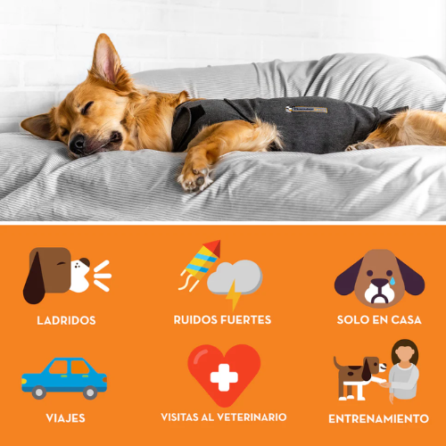 CHALECO RELAJANTE PARA PERROS THUNDERSHIRT