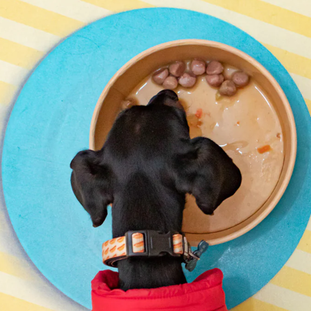 ALBONDIGAS PARA PERROS HARPER AND BONE FRESH MARKET 12 X 300 G