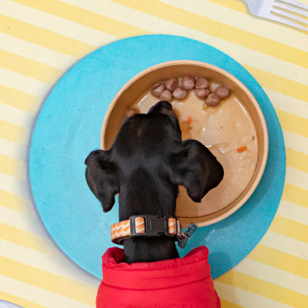 ALBONDIGAS PARA PERROS HARPER AND BONE OCEAN WONDERS 12 X 300 G