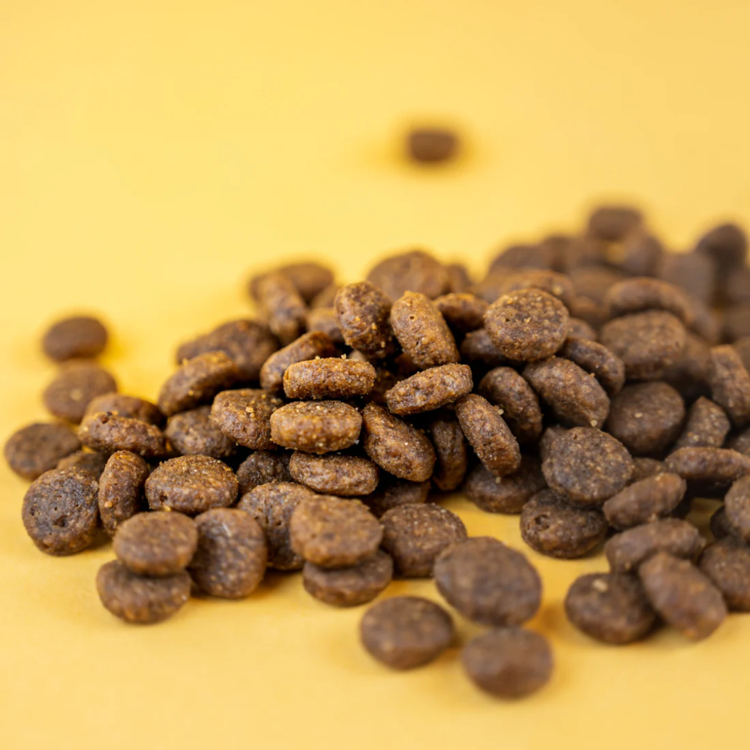 NATURAL GREATNESS WOODLAND GATOS BACKWOODS DIET 5 KG