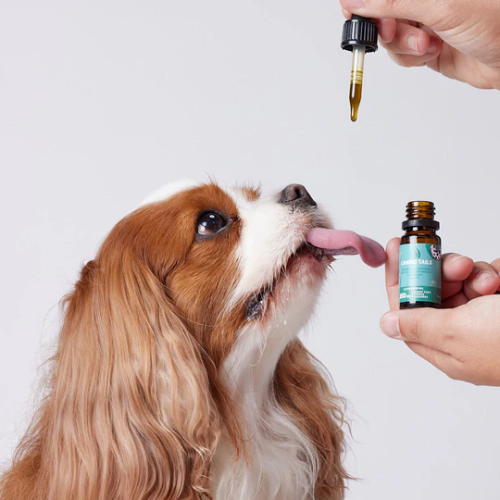 PETBIDIOL ACEITE DE CBD PERRO PEQUEÑO CANDID TAILS