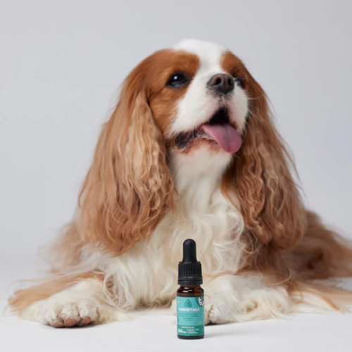 PETBIDIOL ACEITE DE CBD PERRO PEQUEÑO CANDID TAILS