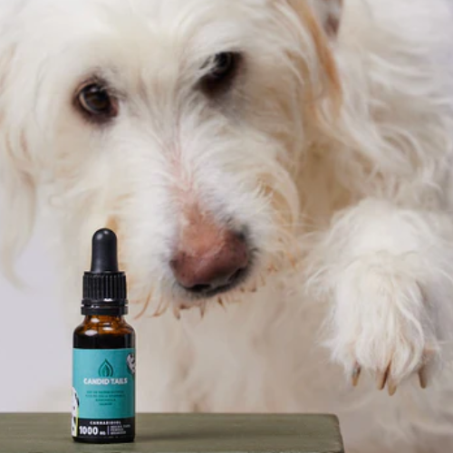 PETBIDIOL ACEITE DE CBD PERRO GRANDE CANDID TAILS