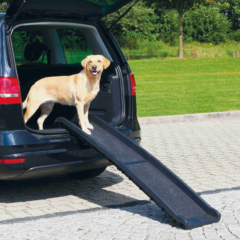 RAMPA COCHE PARA PERROS 40 X 156 CM