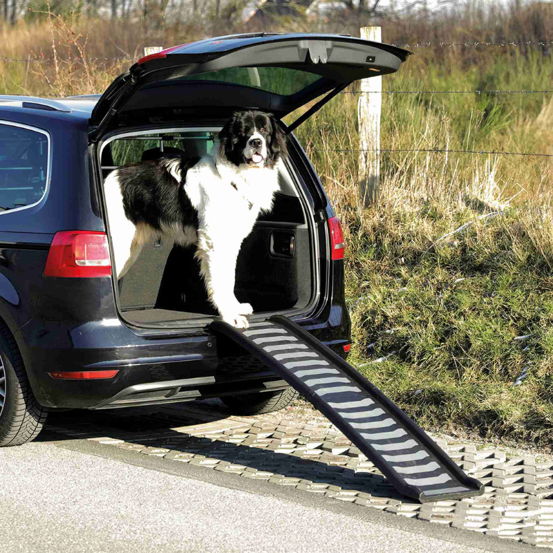 RAMPA COCHE PLEGABLE PETWALK PARA PERROS