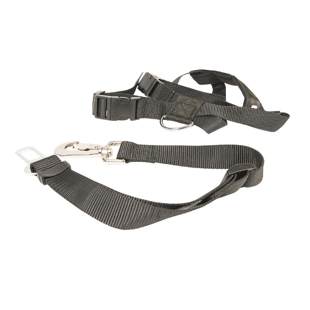ARNES SEGURIDAD PARA COCHE + CINTURON