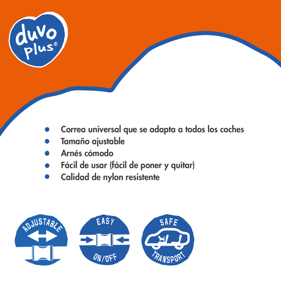 ARNES SEGURIDAD PARA COCHE + CINTURON