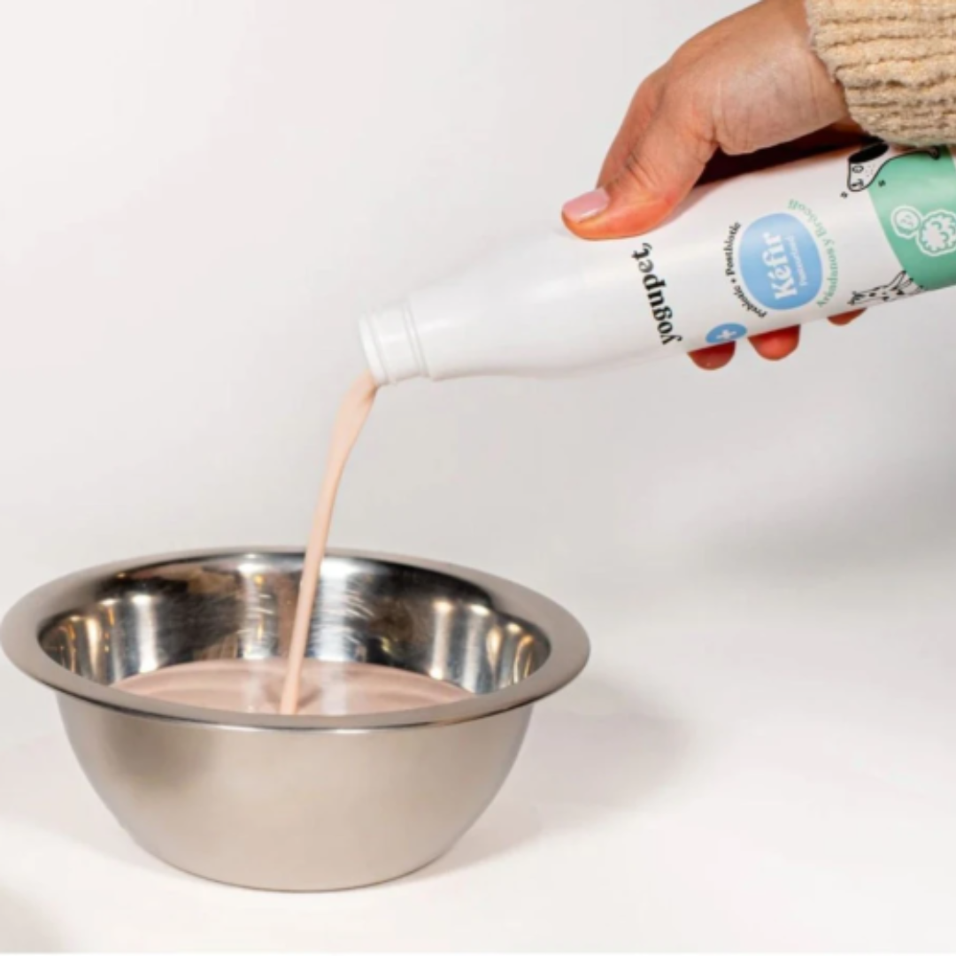 KEFIR PARA PERROS Y GATOS YOGUPET ARANDANOS Y BROCOLI 200 ML