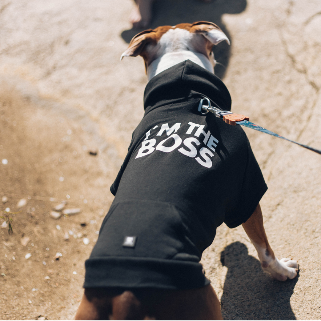 SUDADERA PERROS NEGRA JEFE ZEEDOG