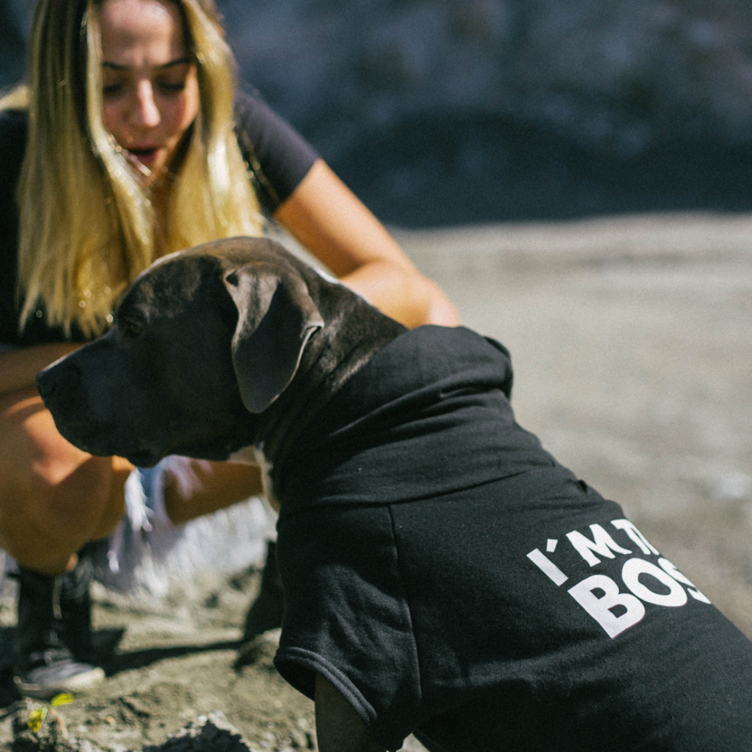 SUDADERA PERROS NEGRA JEFE ZEEDOG