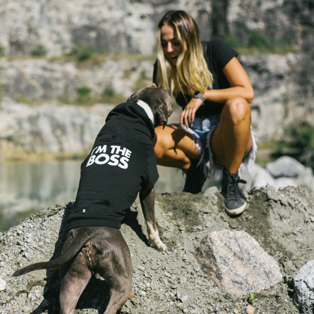 SUDADERA PERROS NEGRA JEFE ZEEDOG