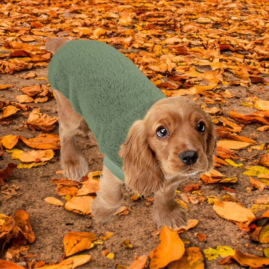SUDADERA BORREGUILLO PERRO MI&DOG COZY GREEN
