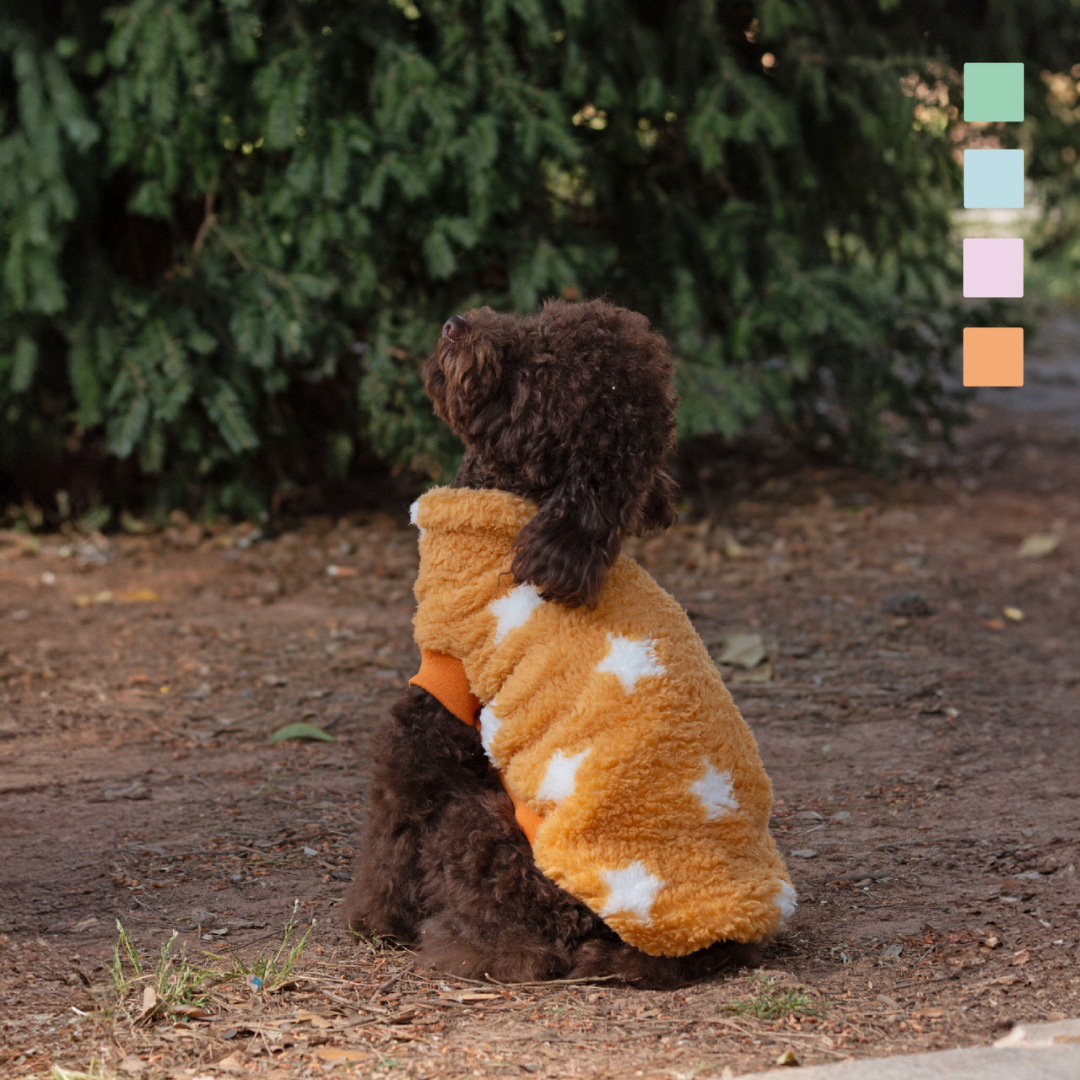 SUDADERA BORREGUILLO PERRO MI&DOG AMARILLA ESTRELLAS