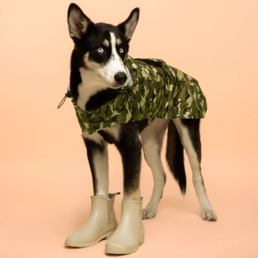 CHUBASQUERO PERRO CAMUFLAJE
