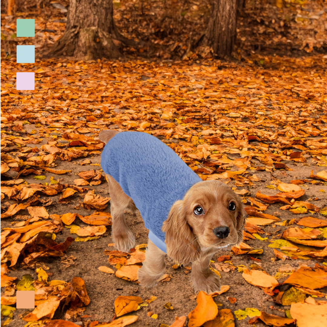 SUDADERA BORREGUILLO PERRO MI&DOG AZUL