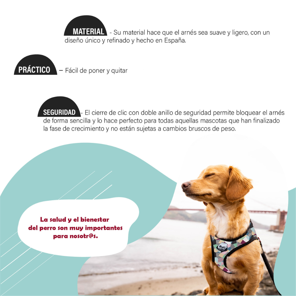 ARNES PARA PERROS DUO REVERSIBLE RETRO
