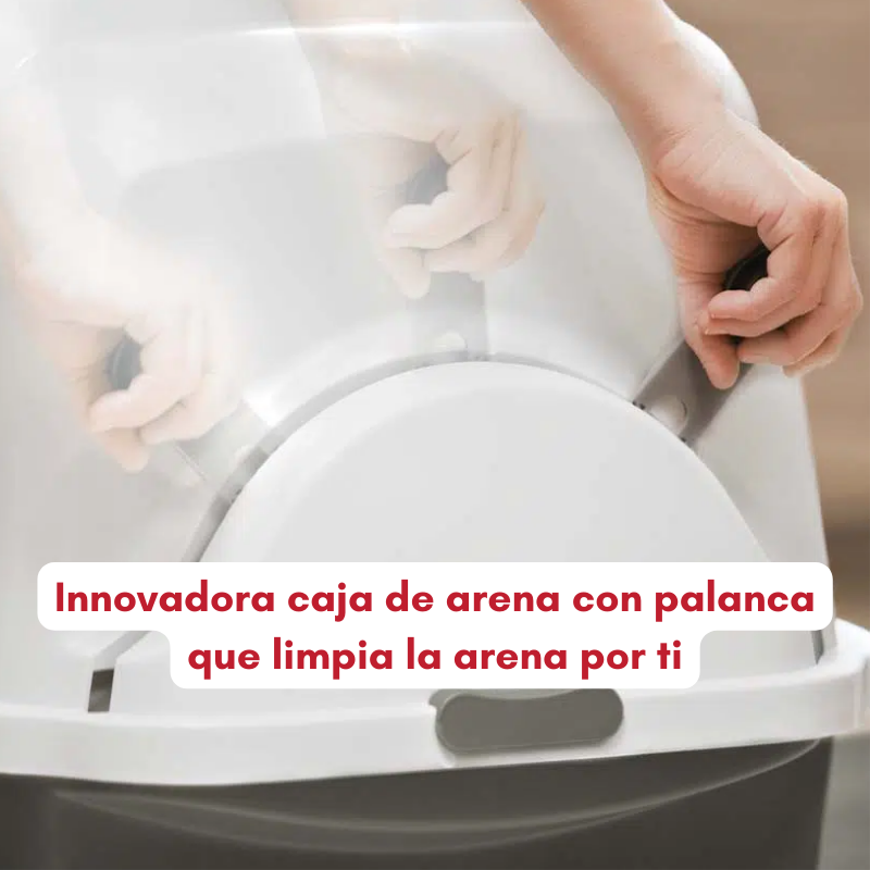 ARENERO AUTOLIMPIABLE AUTOMÁTICO SMARTSIFT CATIT