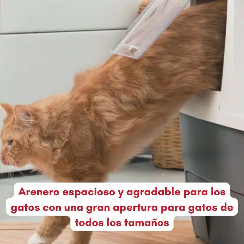 ARENERO AUTOLIMPIABLE AUTOMÁTICO SMARTSIFT CATIT