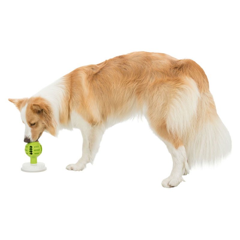 PELOTA LICKIMAT CON VENTOSA TRIXIE