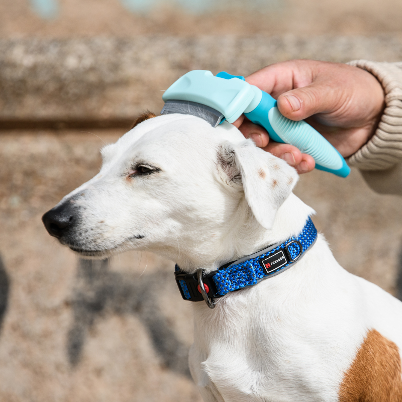CEPILLO DESLANADOR PERROS FREEDOG