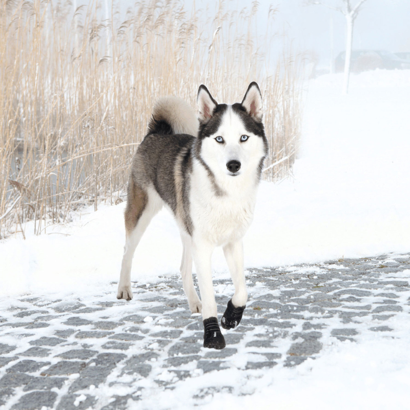 BOTAS PROTECTORAS PARA PERROS WALKER ACTIVE TRIXIE