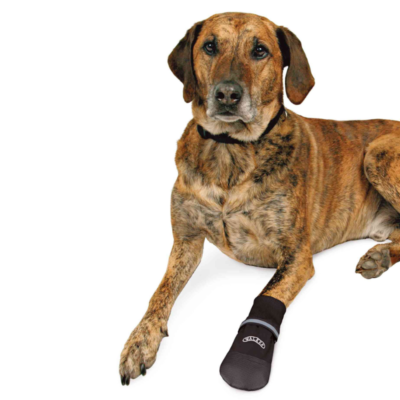 BOTAS PROTECTORAS PARA PERROS WALKER CARE COMFORT TRIXIE