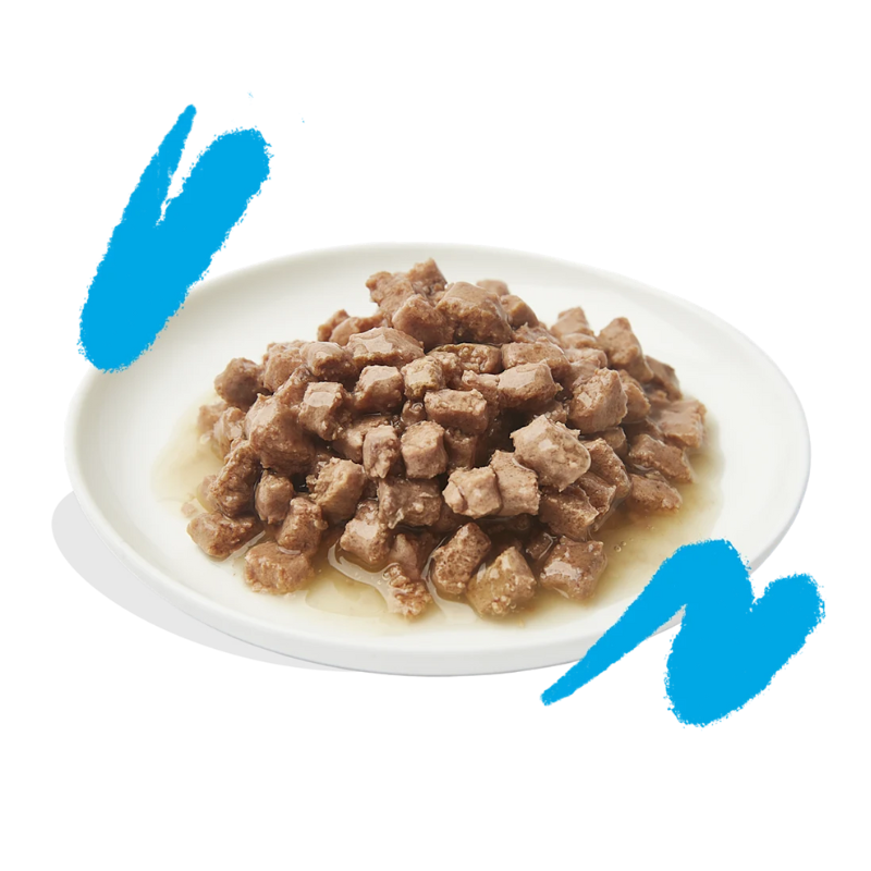 EDGARD COOPER GATOS HUMEDA SALMON Y POLLO TROCITOS EN SALSA 18 X 85 GR