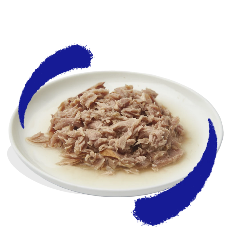 EDGARD COOPER GATOS HUMEDA FILETES ATUN 24 X 70 GR